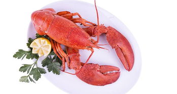 多國海鮮產(chǎn)品關(guān)稅迎調(diào)整或全免，全球貿(mào)易格局或?qū)⒅厮? class=